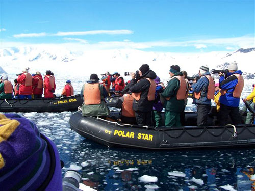 Whale at Cierva Cove