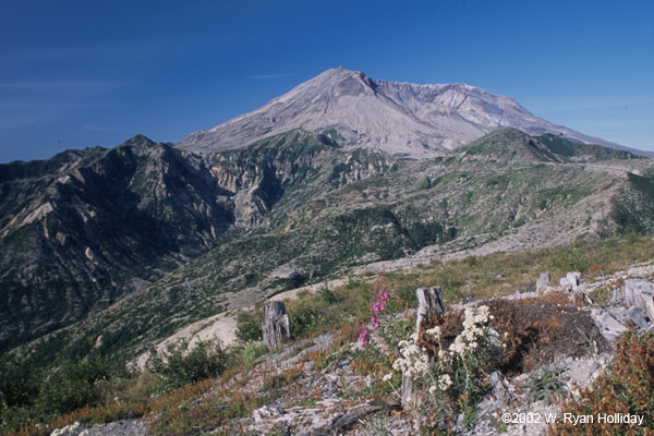 Mt. St. Helen's near Spirit Lake