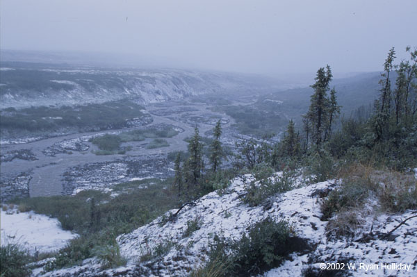 Autumn snow along Dempster Highway