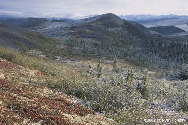 Autumn in the Richardson Mountains