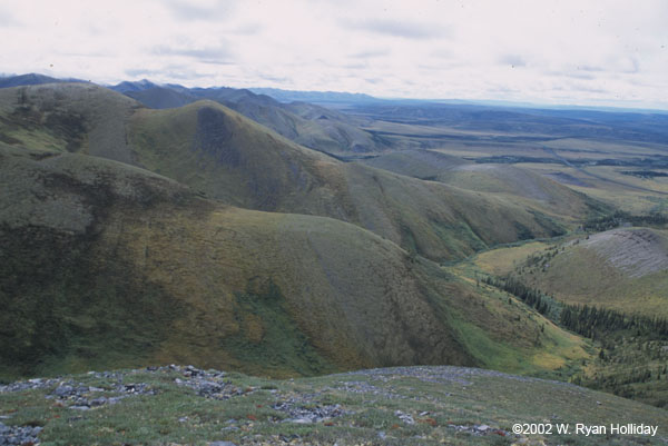 Richardson Mountains