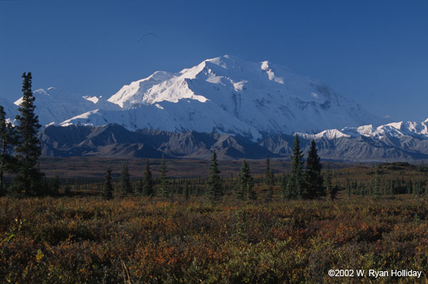 Denali and Tundra