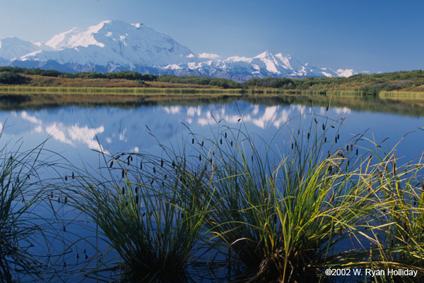 Denali from Reflection Pond