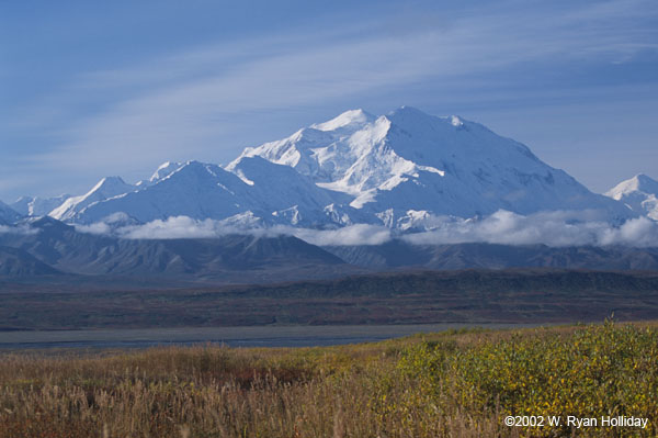 Denali from near Moose Creek