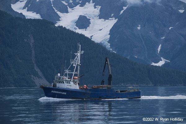 "Adventure", Resurrection Bay