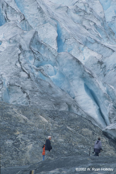 Exit Glacier and Hikers