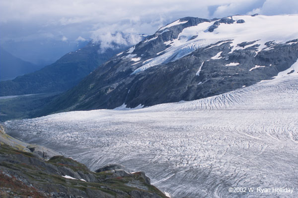 Exit Glacier