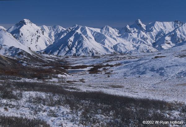 Alaska Range from Sable Pass