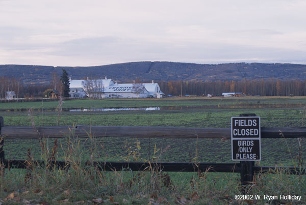 Creamer's Refuge