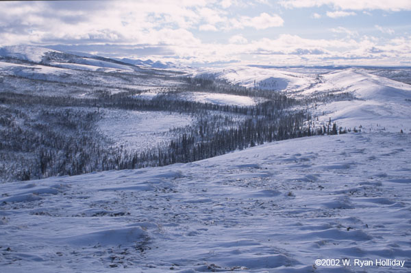 Winter in the Richardson Mountains