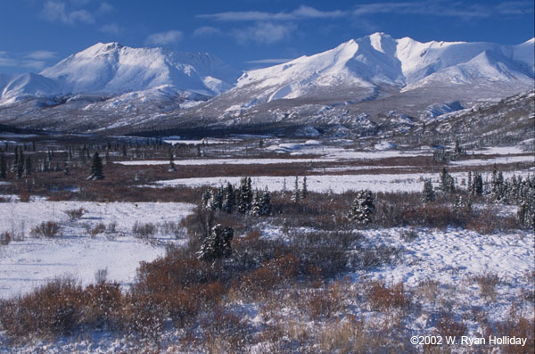 Winter in the Ogilve Mountains