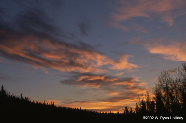 Sunrise near the Liard River