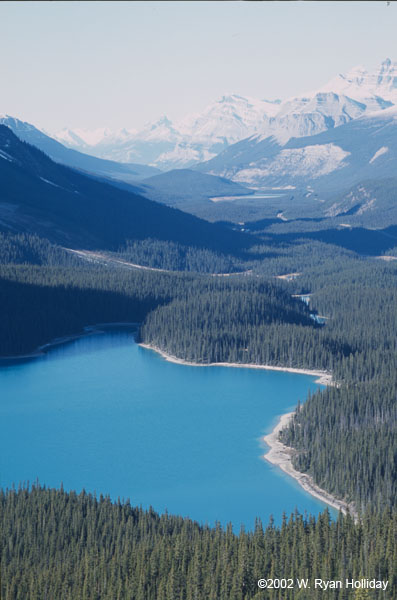 Peyto Lake