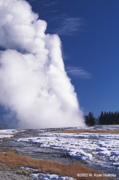 Old Faithful Geyser