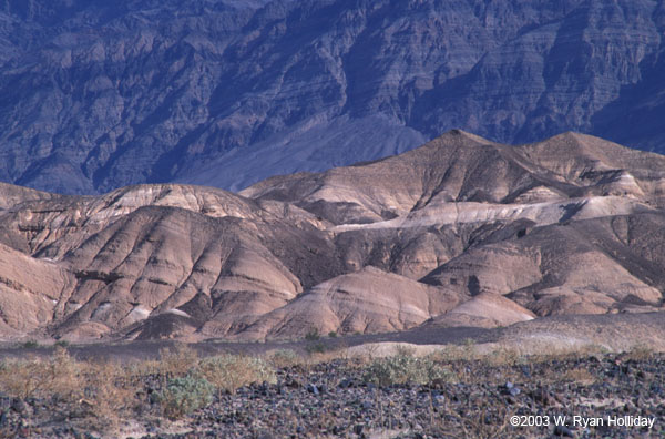Death Valley Landscape