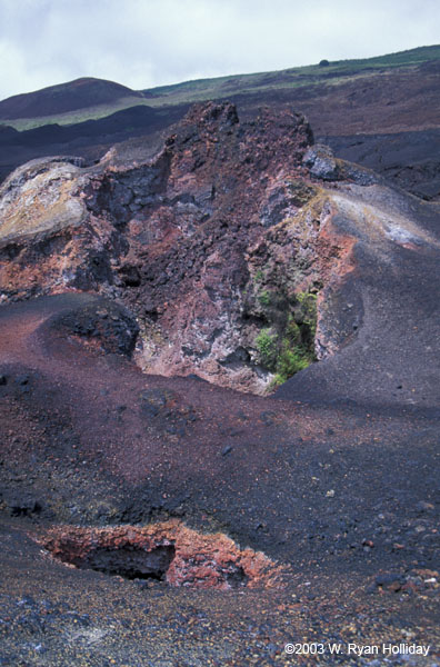 Landscape, Sierra Negra Volcano