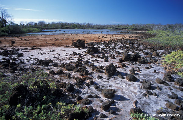 Lagoon near Dragon Hill