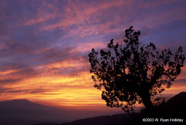 Keys View at Sunset