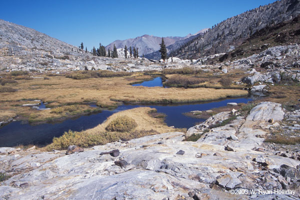 White Chief Canyon