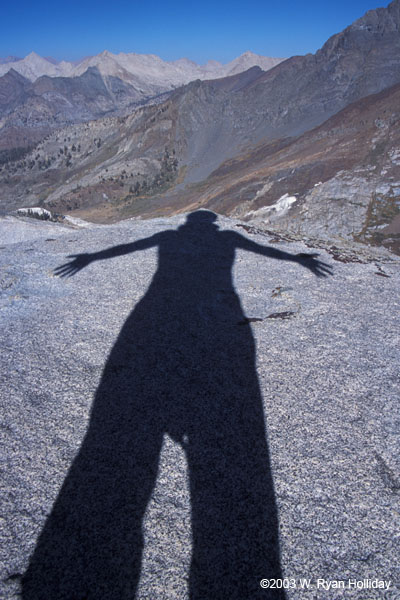 Self-Portrait