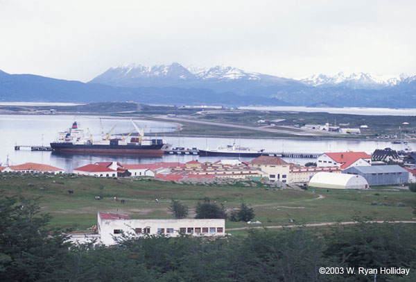 Ushuaia Harbor