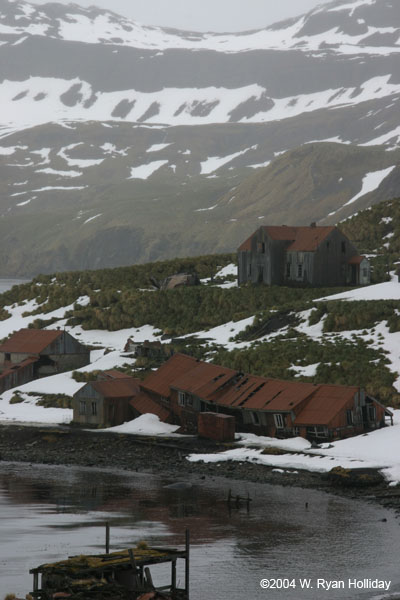 Abandoned Whaling Station