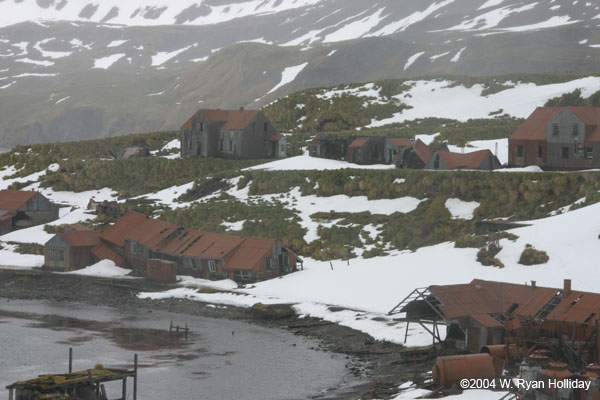 Abandoned Whaling Station