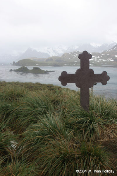 Whaling Station Cemetary