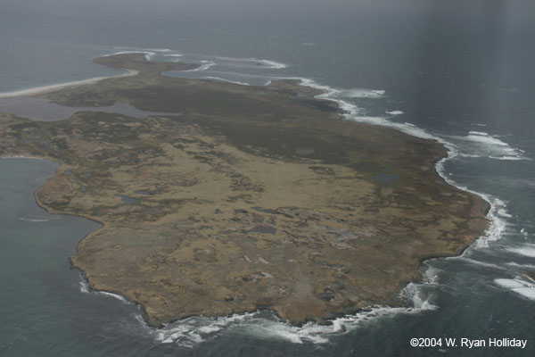 Falkland Islands Landscape