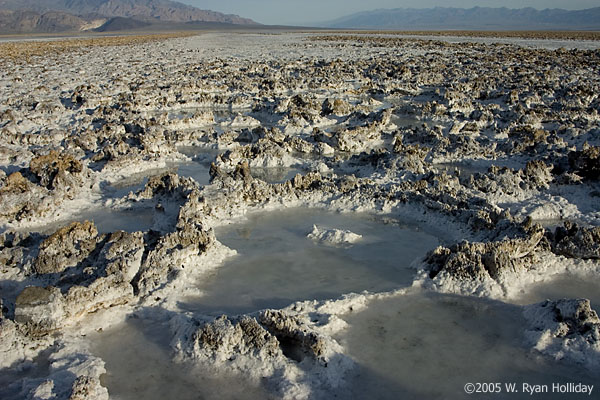 Salt Flats