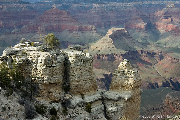 Grand Canyon from South Rim