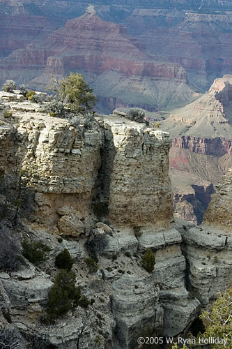Grand Canyon from South Rim