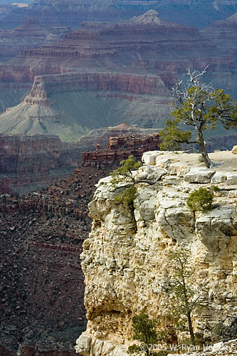 Grand Canyon from South Rim