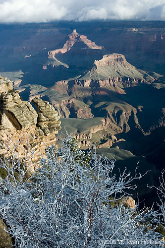 Grand Canyon from South Rim
