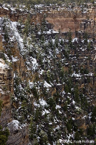 Grand Canyon Detail