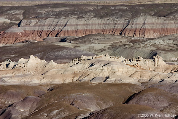 Painted Desert Landscape