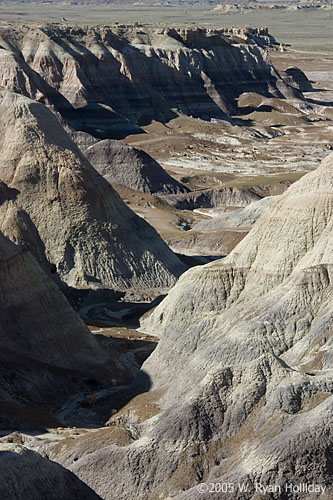Blue Mesa Landscape