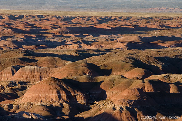 Painted Desert Landscape