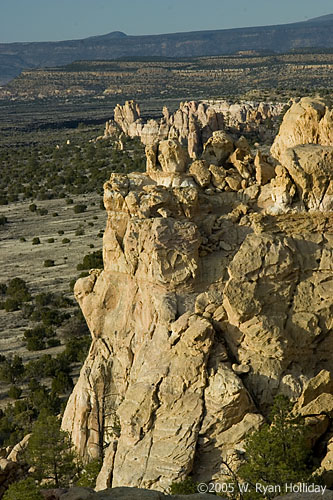 Sandstone Bluffs Landscape