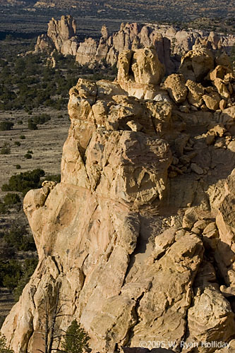 Sandstone Bluffs Landscape