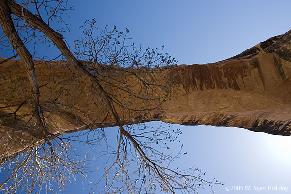 Sipapu Bridge