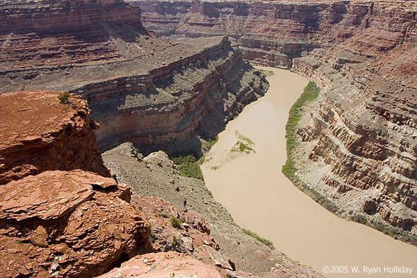 Colorado River Landscape
