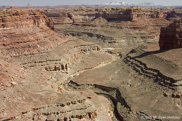 Canyonlands Landscape