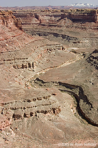 Canyonlands Landscape