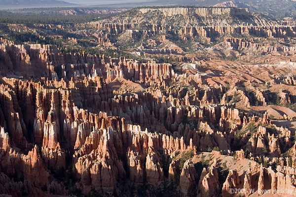 Hoodoos