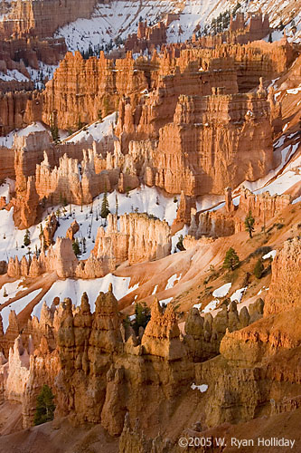 Bryce Canyon Landscape