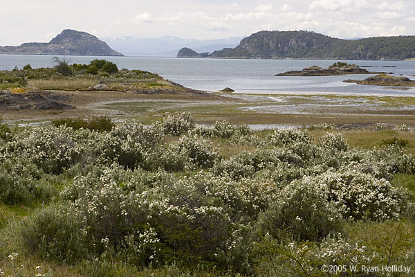 Lapataia Bay