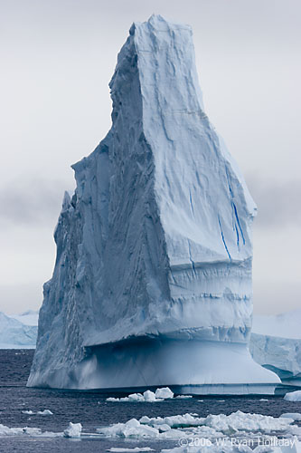 Iceberg