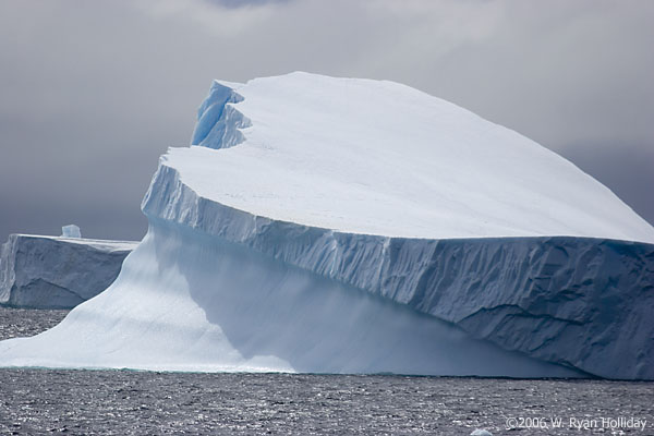 Iceberg