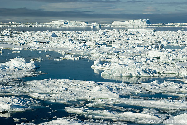 Sea Ice